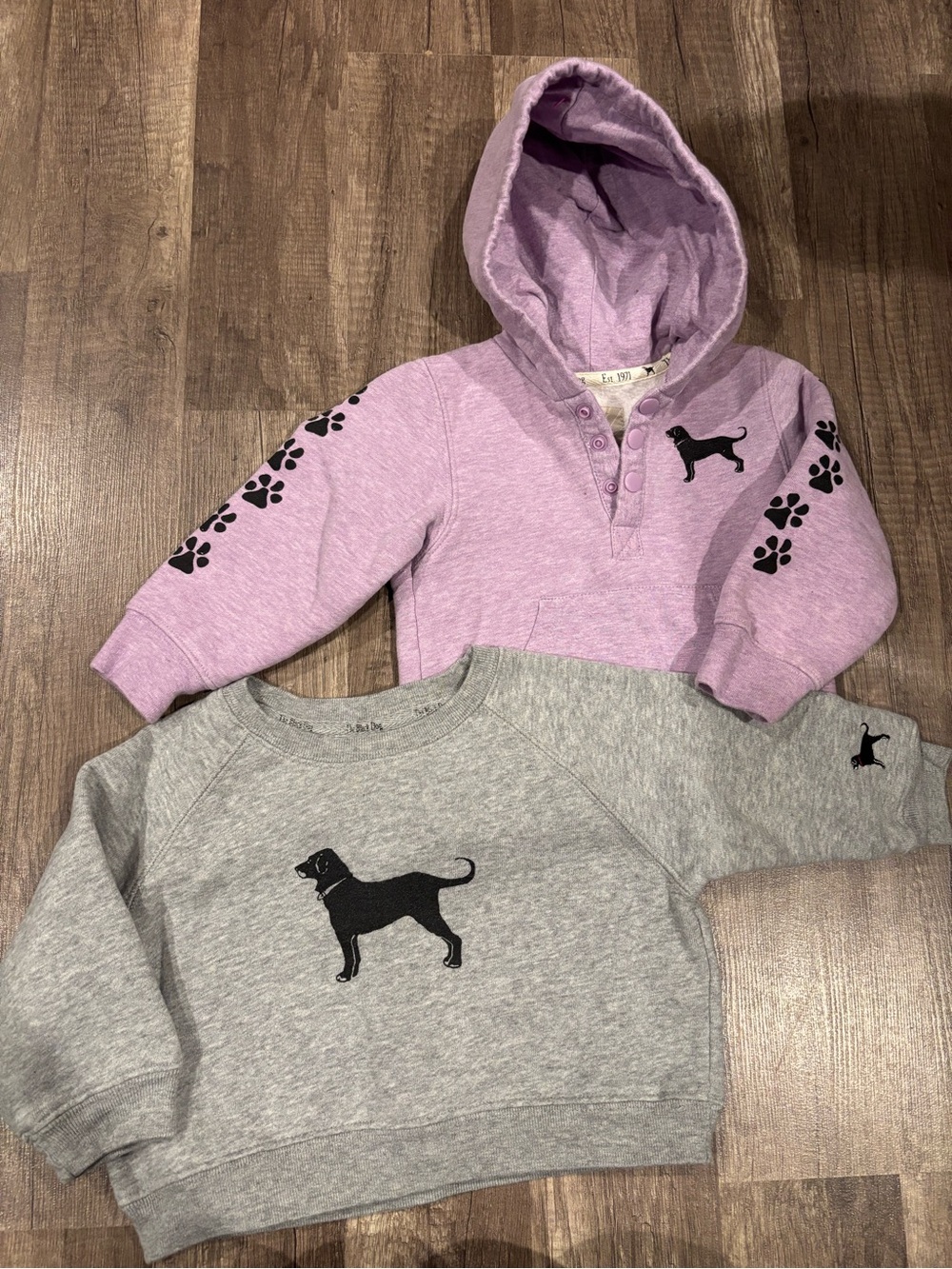 The Black Dog Kids Lilac Hoodie & Gray Sweatshirt Set with Black Dog Motif